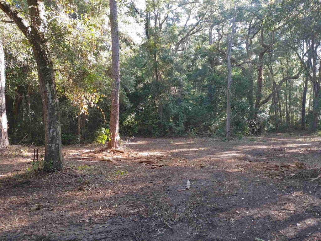 Maylor Lane, Tallahassee, FL 32308