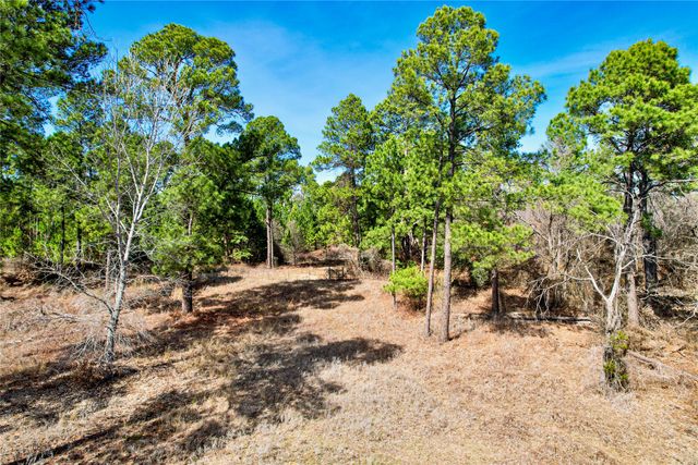 300 Cowboy Court, Granbury, TX 76048