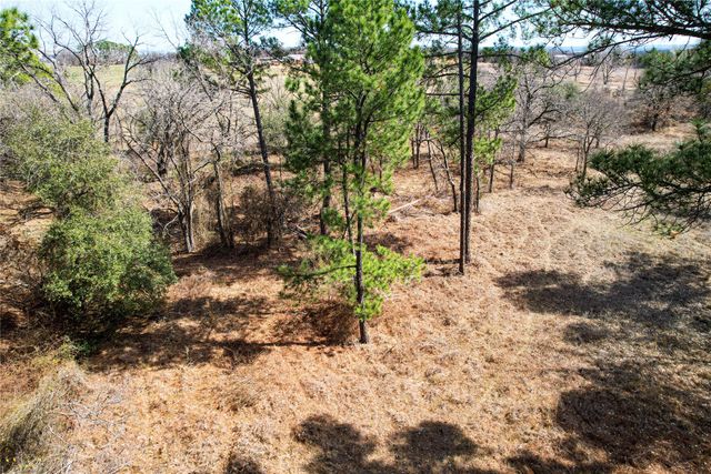 300 Cowboy Court, Granbury, TX 76048