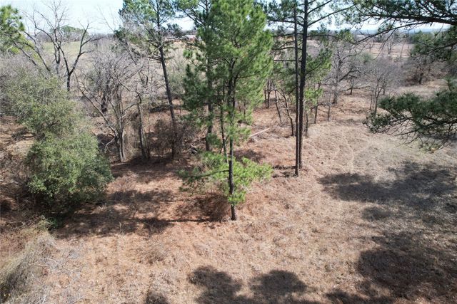 300 Cowboy Court, Granbury, TX 76048