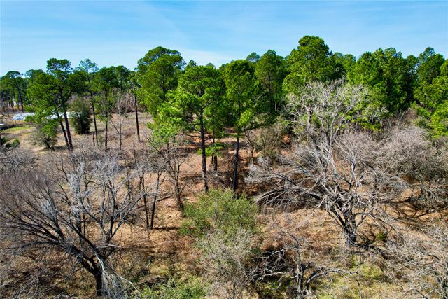 300 Cowboy Court, Granbury, TX 76048