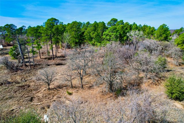 300 Cowboy Court, Granbury, TX 76048