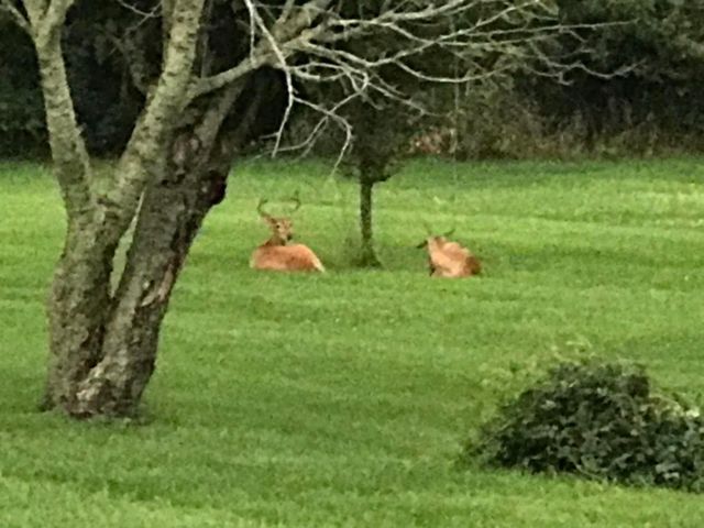 18311 Clark Street, Lowell, IN 46356