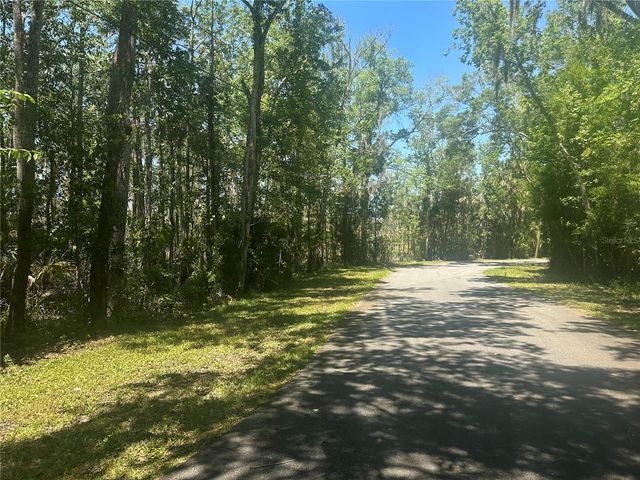 650 MILLER CREEK ROAD, Crystal River, FL 34428