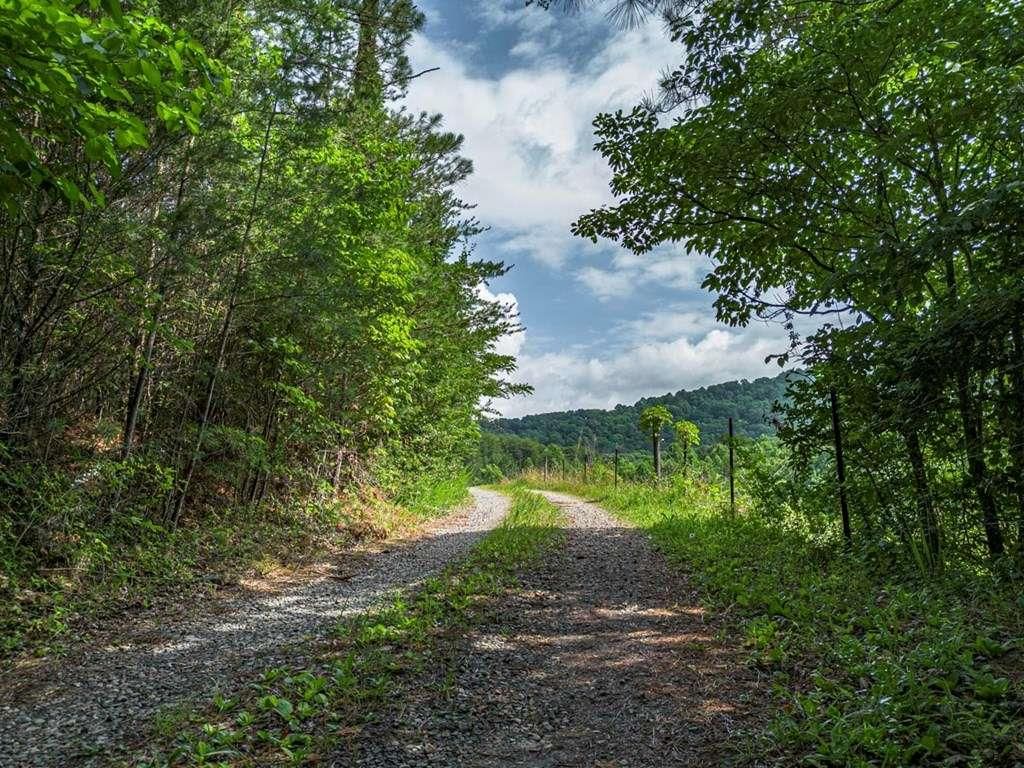 Image 10 of property listing at 541 Pleasant Hill Road, Copperhill, TN 37317