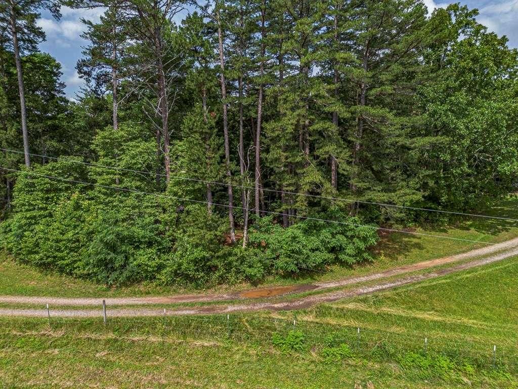 Image 7 of property listing at 541 Pleasant Hill Road, Copperhill, TN 37317