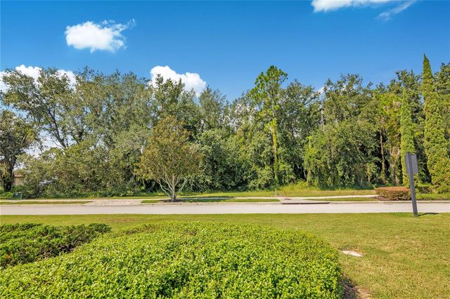 15437 PENDIO DRIVE, Montverde, FL 34756