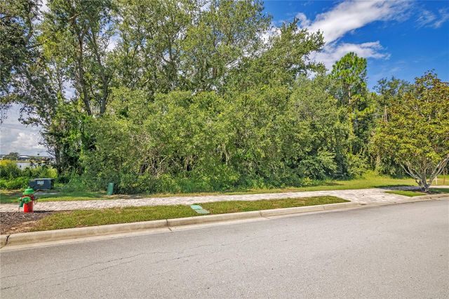 15437 PENDIO DRIVE, Montverde, FL 34756