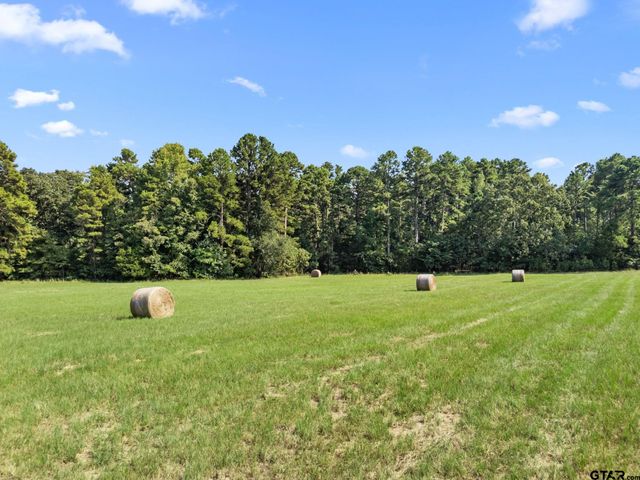 1081 CR 3875, Mineola, TX 75773
