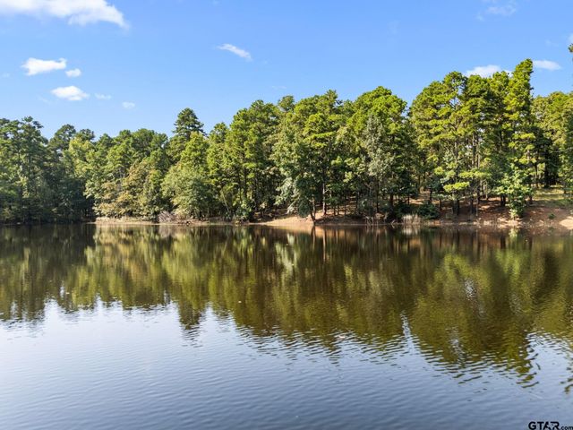 1081 CR 3875, Mineola, TX 75773