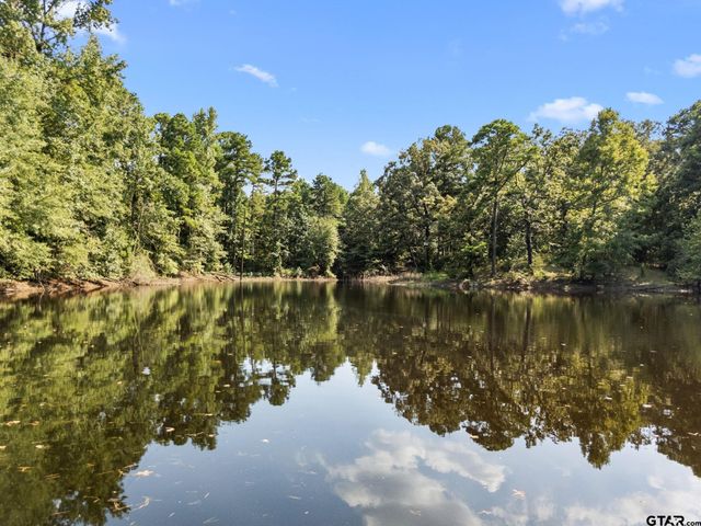 1081 CR 3875, Mineola, TX 75773