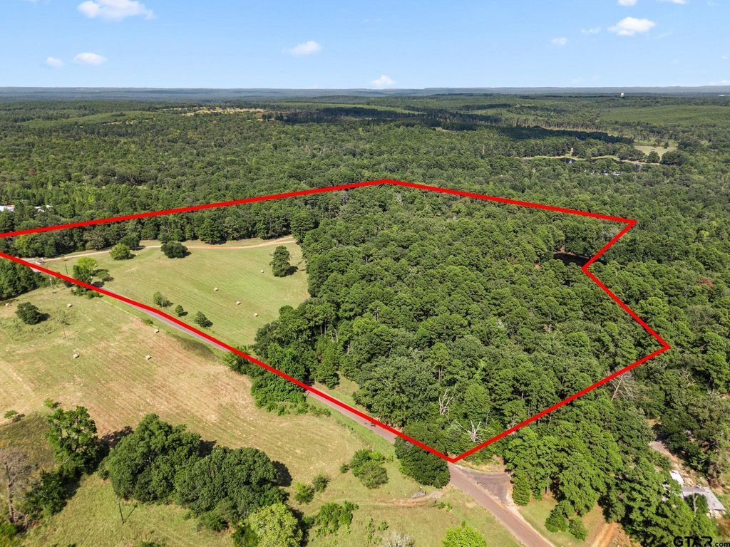1081 CR 3875, Mineola, TX 75773