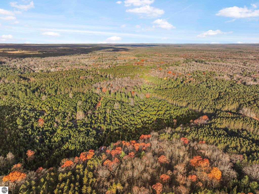 Image 10 of property listing at 0 Vans Lane, Kingsley, MI 49649