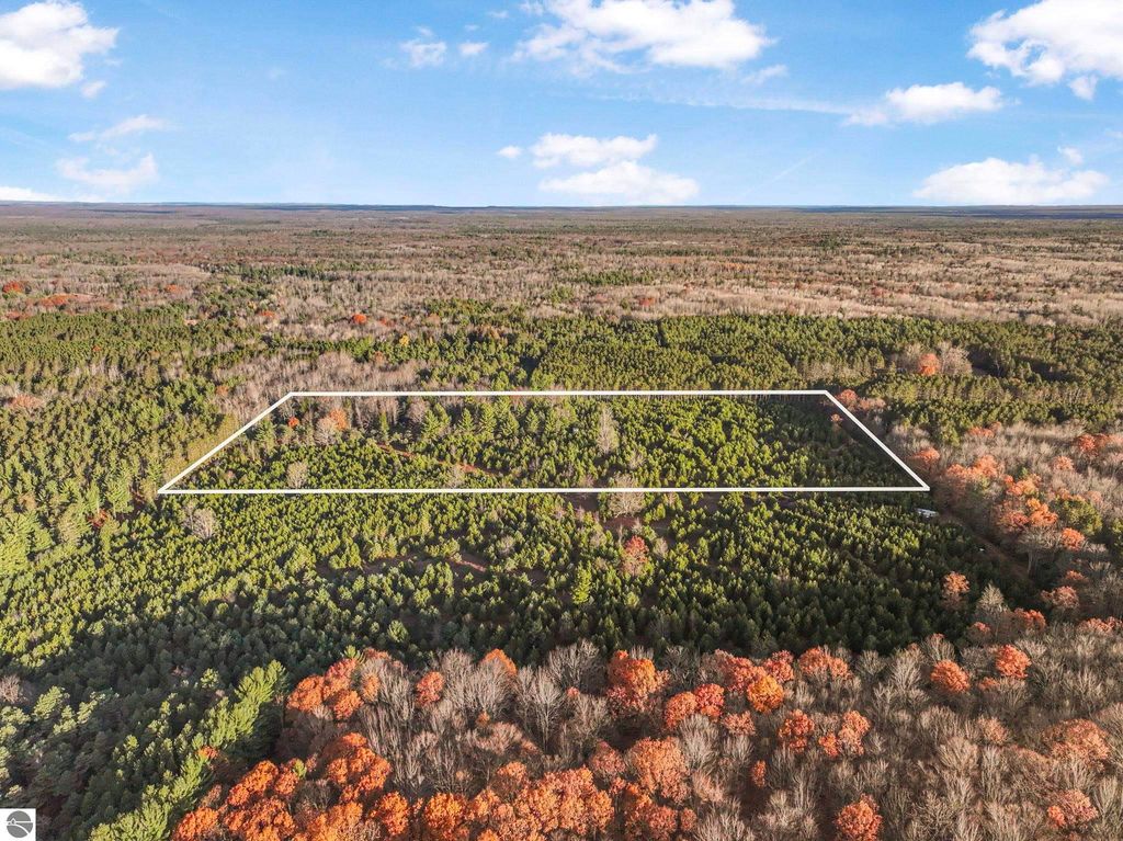 Image 4 of property listing at 0 Vans Lane, Kingsley, MI 49649