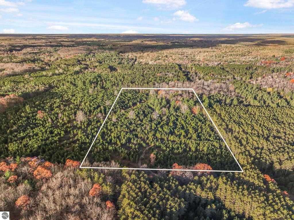 Image 6 of property listing at 0 Vans Lane, Kingsley, MI 49649