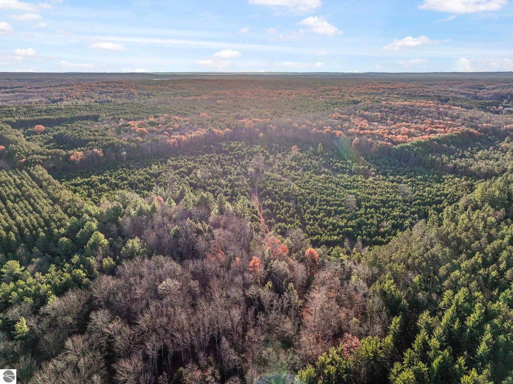 Image 7 of property listing at 0 Vans Lane, Kingsley, MI 49649