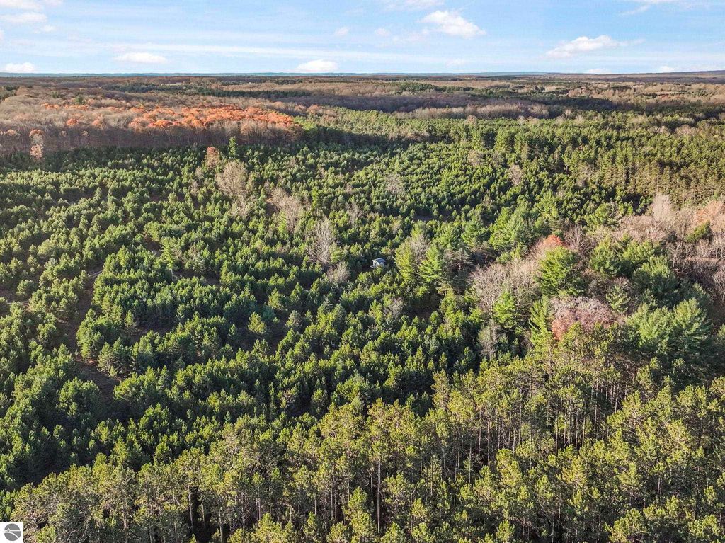 Image 8 of property listing at 0 Vans Lane, Kingsley, MI 49649