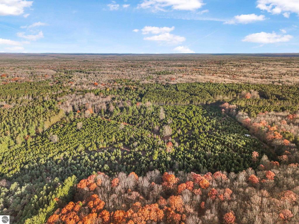 Image 9 of property listing at 0 Vans Lane, Kingsley, MI 49649