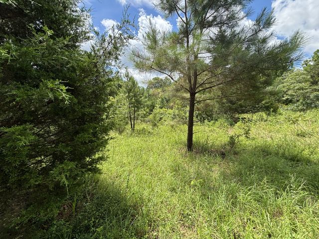 6620 High Meadow Ct, Nunnelly, TN 37137