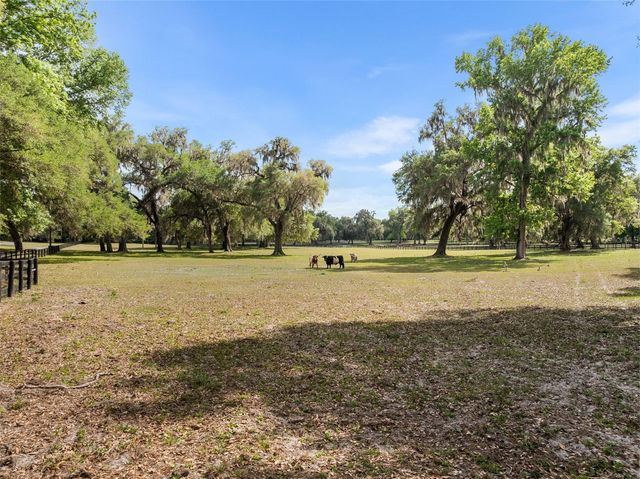 17995 NE 24TH TERRACE, Citra, FL 32113