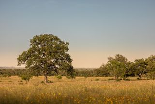 365 Gipson Rd, Johnson City, TX 78636