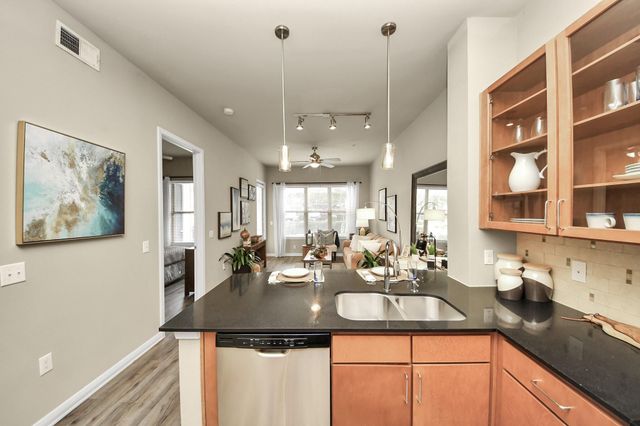 5455 Richmond Avenue 4077, Houston, TX 77056