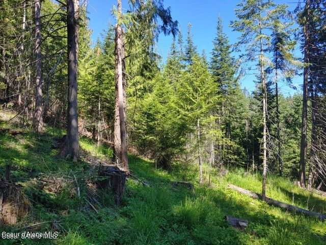 NKA Railroad Grade Rd, St. Maries, ID 83861