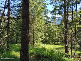 NKA Railroad Grade Rd, St. Maries, ID 83861
