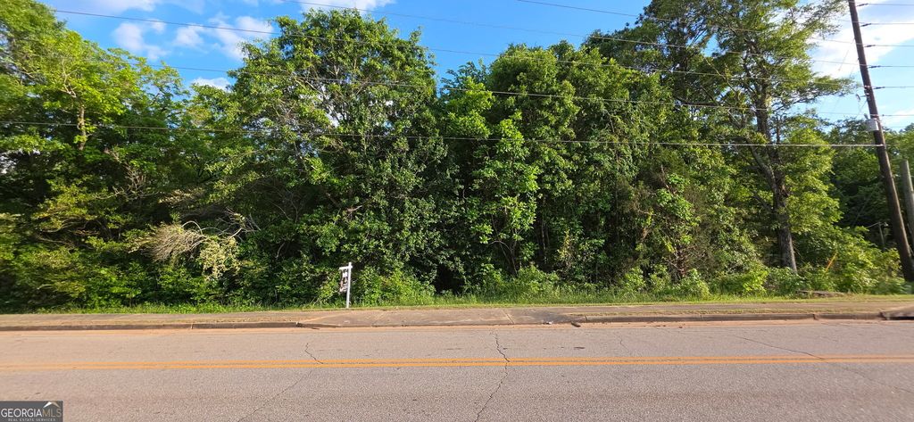 0 County Farm Road, Zebulon, GA 30295