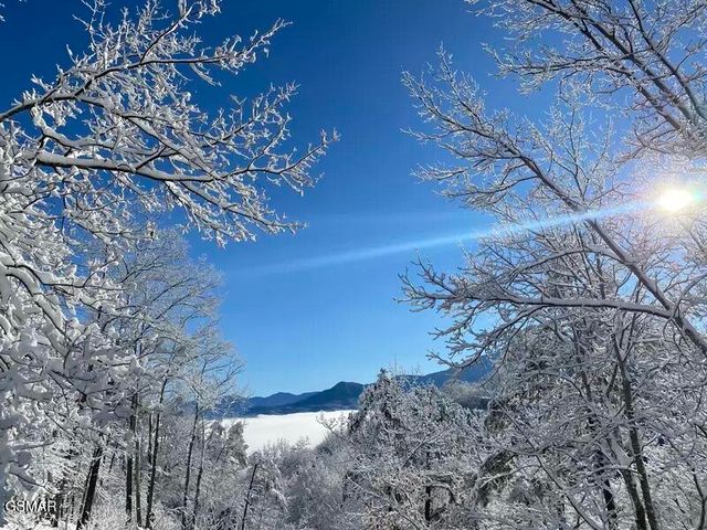 1059 Lower Alpine Way, Gatlinburg, TN 37738