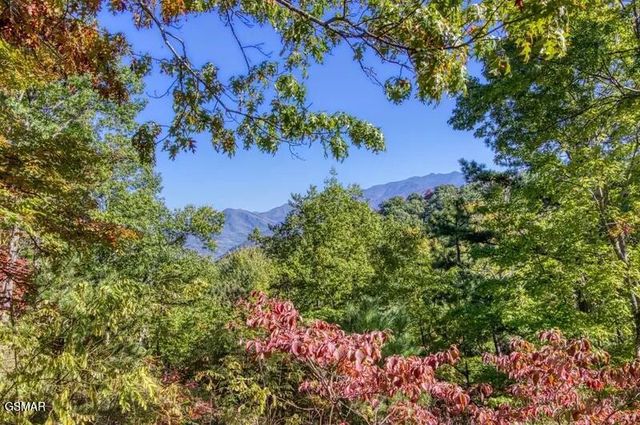 1059 Lower Alpine Way, Gatlinburg, TN 37738