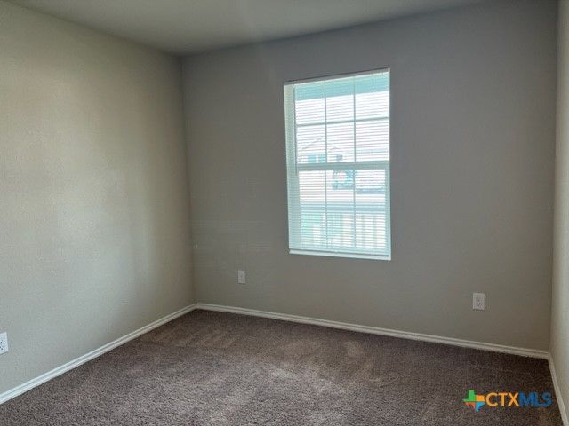 1913 Green Warbler, New Braunfels, TX 78130