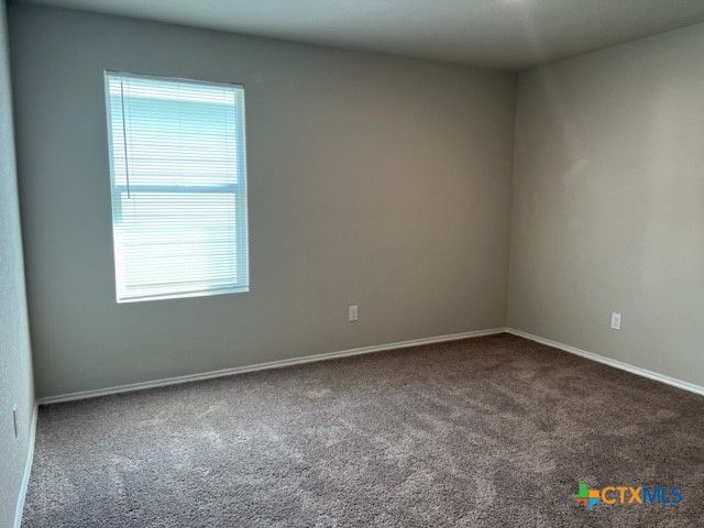 1913 Green Warbler, New Braunfels, TX 78130