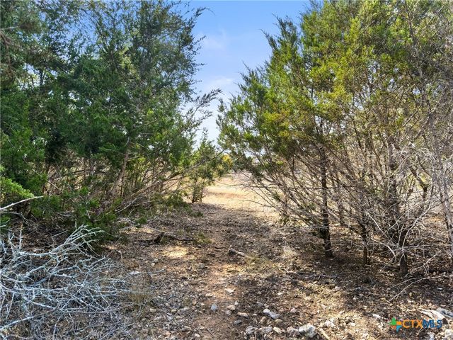 1426 Ledgebrook, Spring Branch, TX 78070