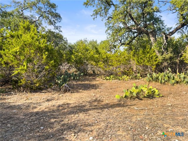 1426 Ledgebrook, Spring Branch, TX 78070