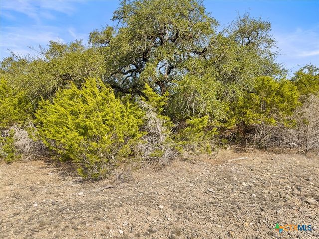 1426 Ledgebrook, Spring Branch, TX 78070