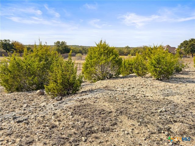 1426 Ledgebrook, Spring Branch, TX 78070