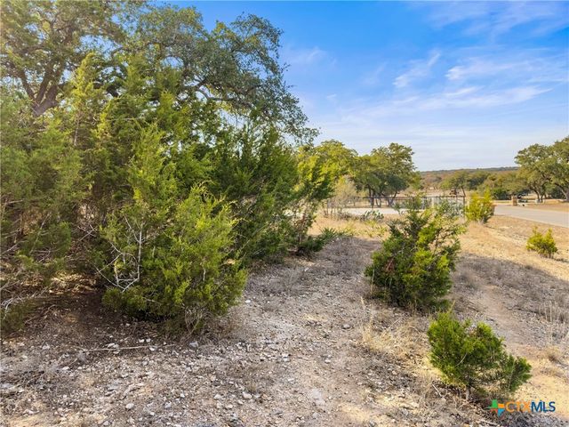 1426 Ledgebrook, Spring Branch, TX 78070