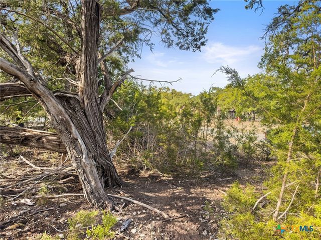 1426 Ledgebrook, Spring Branch, TX 78070