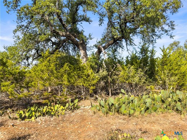 1426 Ledgebrook, Spring Branch, TX 78070