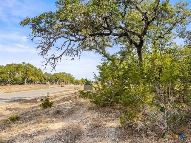 1426 Ledgebrook, Spring Branch, TX 78070