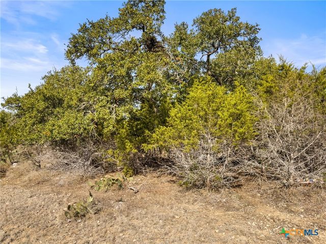 1426 Ledgebrook, Spring Branch, TX 78070