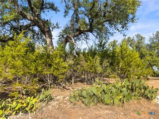 1426 Ledgebrook, Spring Branch, TX 78070