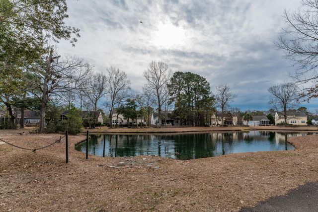 1905 Bristle Pine Court, Mount Pleasant, SC 29466