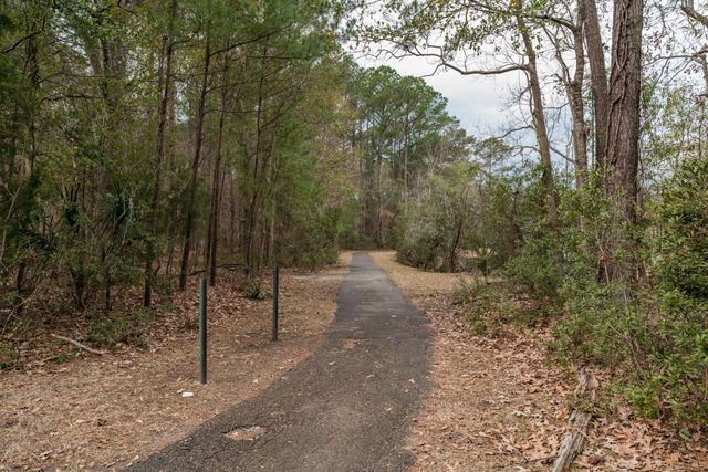 1905 Bristle Pine Court, Mount Pleasant, SC 29466