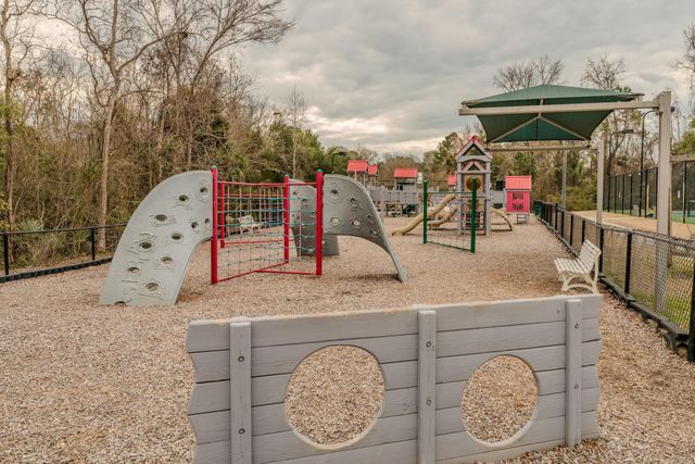 1905 Bristle Pine Court, Mount Pleasant, SC 29466