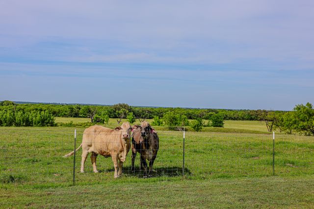 6416 County Road 146, Lipan, TX 76462