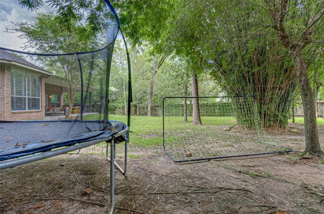 3 Vincent Court, The Woodlands, TX 77382
