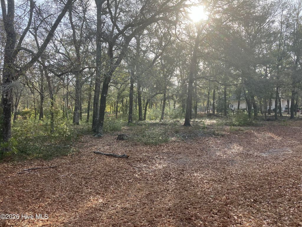 2172 Clambake Court SW, Supply, NC 28462