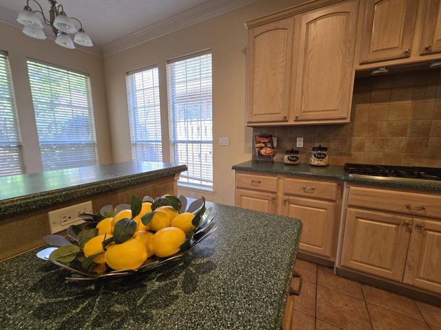 11110 S Reach, Montgomery, TX 77356